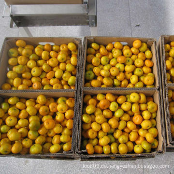 Professioneller Lieferant für frische Baby Mandarin Orange